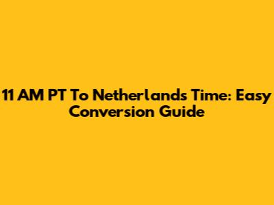 11 AM PT To Netherlands Time: Easy Conversion Guide