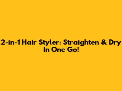 2-in-1 Hair Styler: Straighten & Dry In One Go!