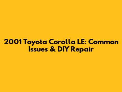 2001 Toyota Corolla LE: Common Issues & DIY Repair