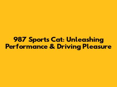 987 Sports Cat: Unleashing Performance & Driving Pleasure