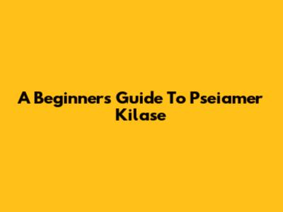 A Beginner's Guide To Pseiamer Kilase