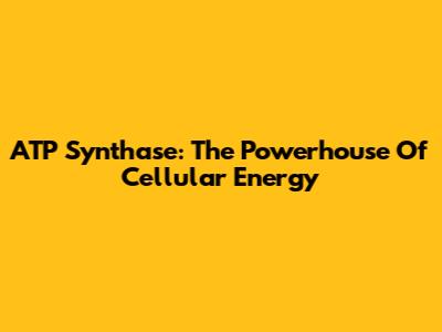 ATP Synthase: The Powerhouse Of Cellular Energy