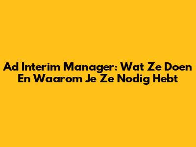 Ad Interim Manager: Wat Ze Doen En Waarom Je Ze Nodig Hebt