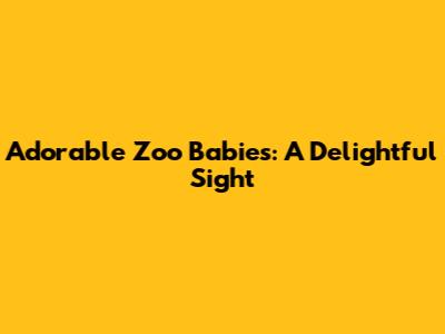 Adorable Zoo Babies: A Delightful Sight