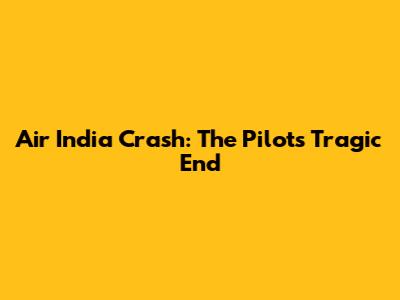 Air India Crash: The Pilot's Tragic End