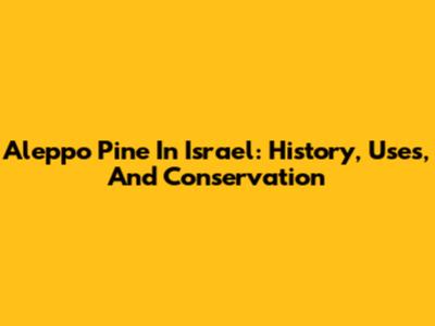 Aleppo Pine In Israel: History, Uses, And Conservation