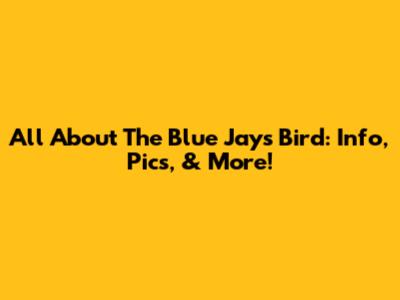 All About The Blue Jays Bird: Info, Pics, & More!