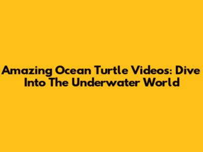 Amazing Ocean Turtle Videos: Dive Into The Underwater World