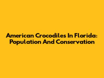 American Crocodiles In Florida: Population And Conservation