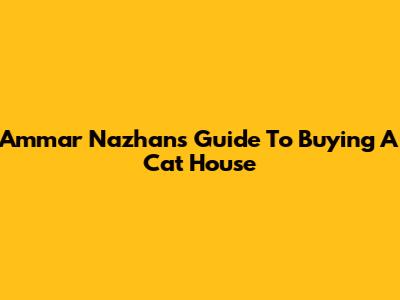 Ammar Nazhan's Guide To Buying A Cat House