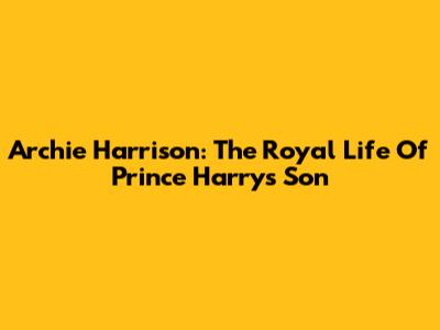 Archie Harrison: The Royal Life Of Prince Harry's Son