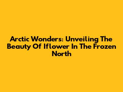 Arctic Wonders: Unveiling The Beauty Of Iflower In The Frozen North
