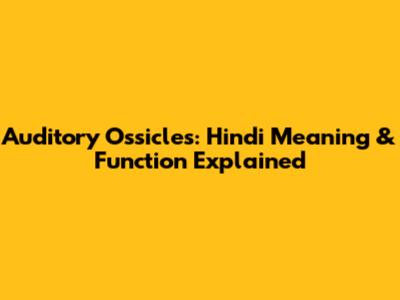 Auditory Ossicles: Hindi Meaning & Function Explained