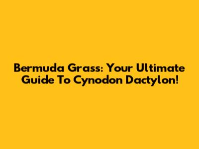 Bermuda Grass: Your Ultimate Guide To Cynodon Dactylon!