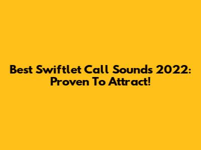 Best Swiftlet Call Sounds 2022: Proven To Attract!