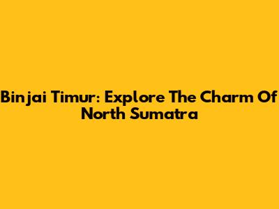Binjai Timur: Explore The Charm Of North Sumatra