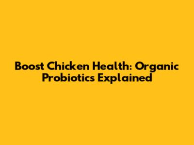 Boost Chicken Health: Organic Probiotics Explained