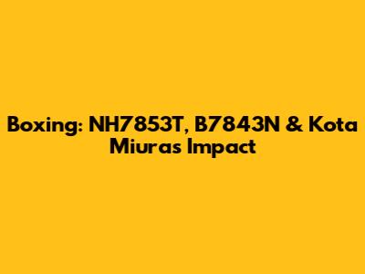 Boxing: NH7853T, B7843N & Kota Miura's Impact