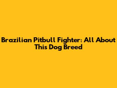 Brazilian Pitbull Fighter: All About This Dog Breed