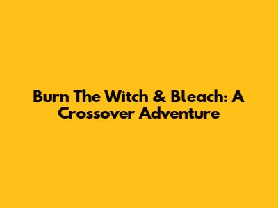 Burn The Witch & Bleach: A Crossover Adventure
