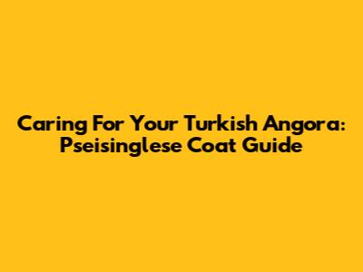 Caring For Your Turkish Angora: Pseisinglese Coat Guide