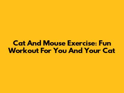 Cat And Mouse Exercise: Fun Workout For You And Your Cat
