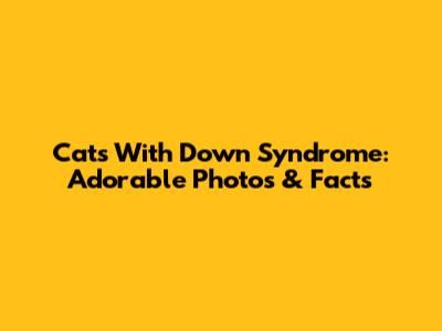 Cats With Down Syndrome: Adorable Photos & Facts
