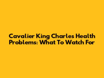 Cavalier King Charles Health Problems: What To Watch For