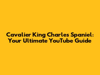 Cavalier King Charles Spaniel: Your Ultimate YouTube Guide