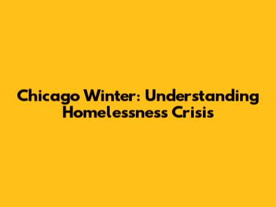 Chicago Winter: Understanding Homelessness Crisis