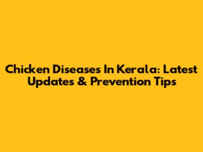 Chicken Diseases In Kerala: Latest Updates & Prevention Tips