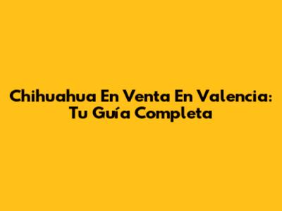 Chihuahua En Venta En Valencia: Tu Guía Completa