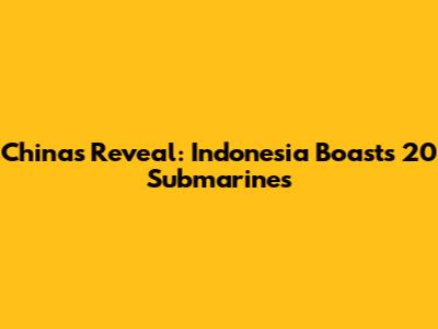 China's Reveal: Indonesia Boasts 20 Submarines