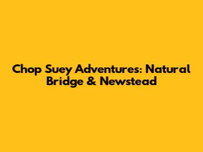 Chop Suey Adventures: Natural Bridge & Newstead
