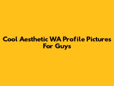 Cool Aesthetic WA Profile Pictures For Guys