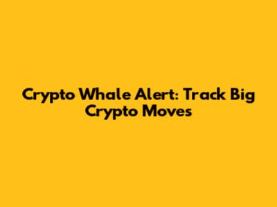 Crypto Whale Alert: Track Big Crypto Moves