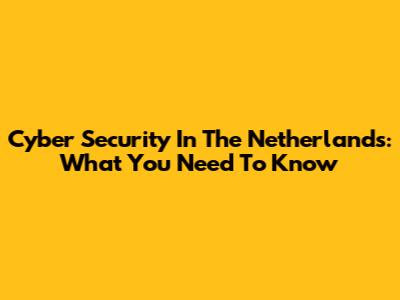 Cyber Security In The Netherlands: What You Need To Know