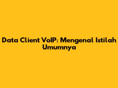Data Client VoIP: Mengenal Istilah Umumnya
