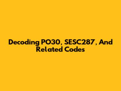 Decoding PO30, SESC287, And Related Codes