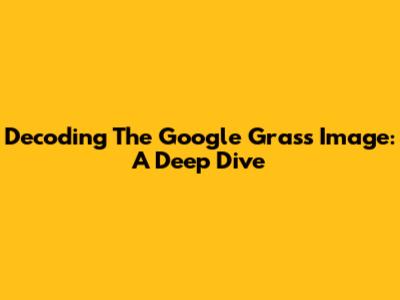 Decoding The Google Grass Image: A Deep Dive