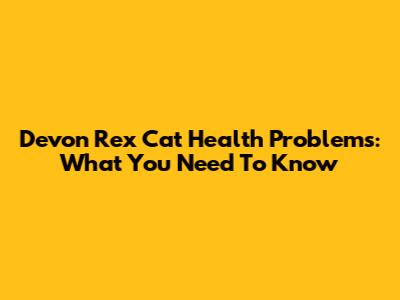 Devon Rex Cat Health Problems: What You Need To Know