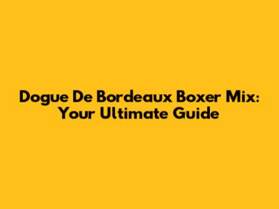 Dogue De Bordeaux Boxer Mix: Your Ultimate Guide