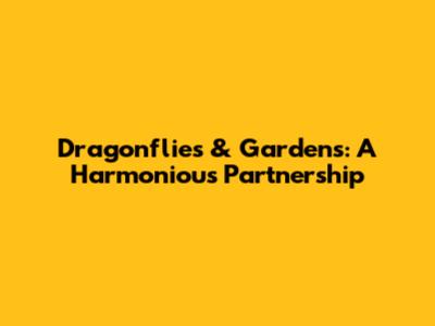 Dragonflies & Gardens: A Harmonious Partnership