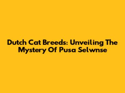 Dutch Cat Breeds: Unveiling The Mystery Of Pusa Selwnse