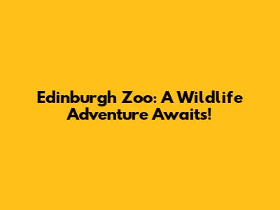 Edinburgh Zoo: A Wildlife Adventure Awaits!