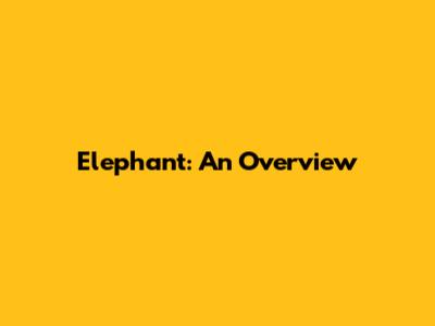 Elephant: An Overview