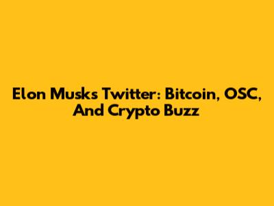 Elon Musk's Twitter: Bitcoin, OSC, And Crypto Buzz