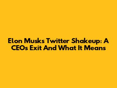 Elon Musk's Twitter Shakeup: A CEO's Exit And What It Means