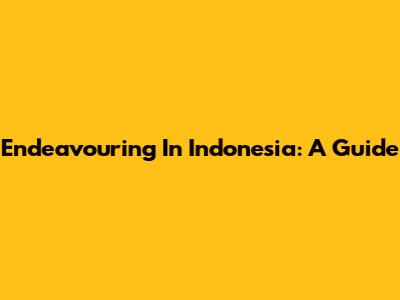 Endeavouring In Indonesia: A Guide