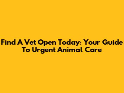 Find A Vet Open Today: Your Guide To Urgent Animal Care
